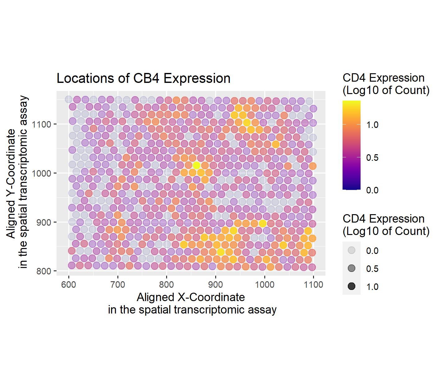 Locations of CB4 Expression