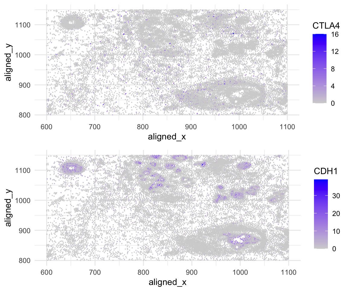 Spacial gene expression of CTLA4 and CDH1