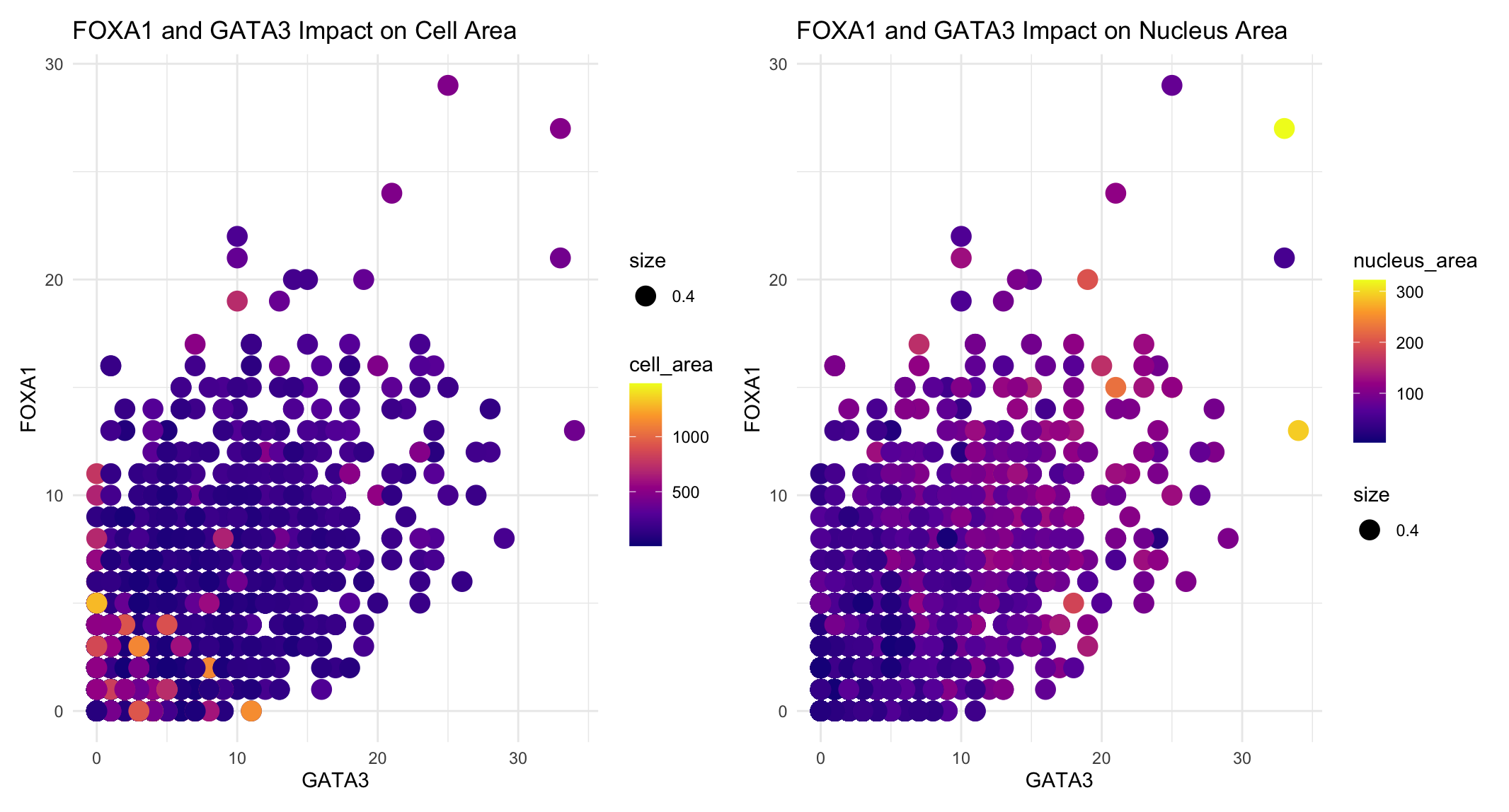 Correlation of Transcription Factor Expression with Cell and Nucleus Area