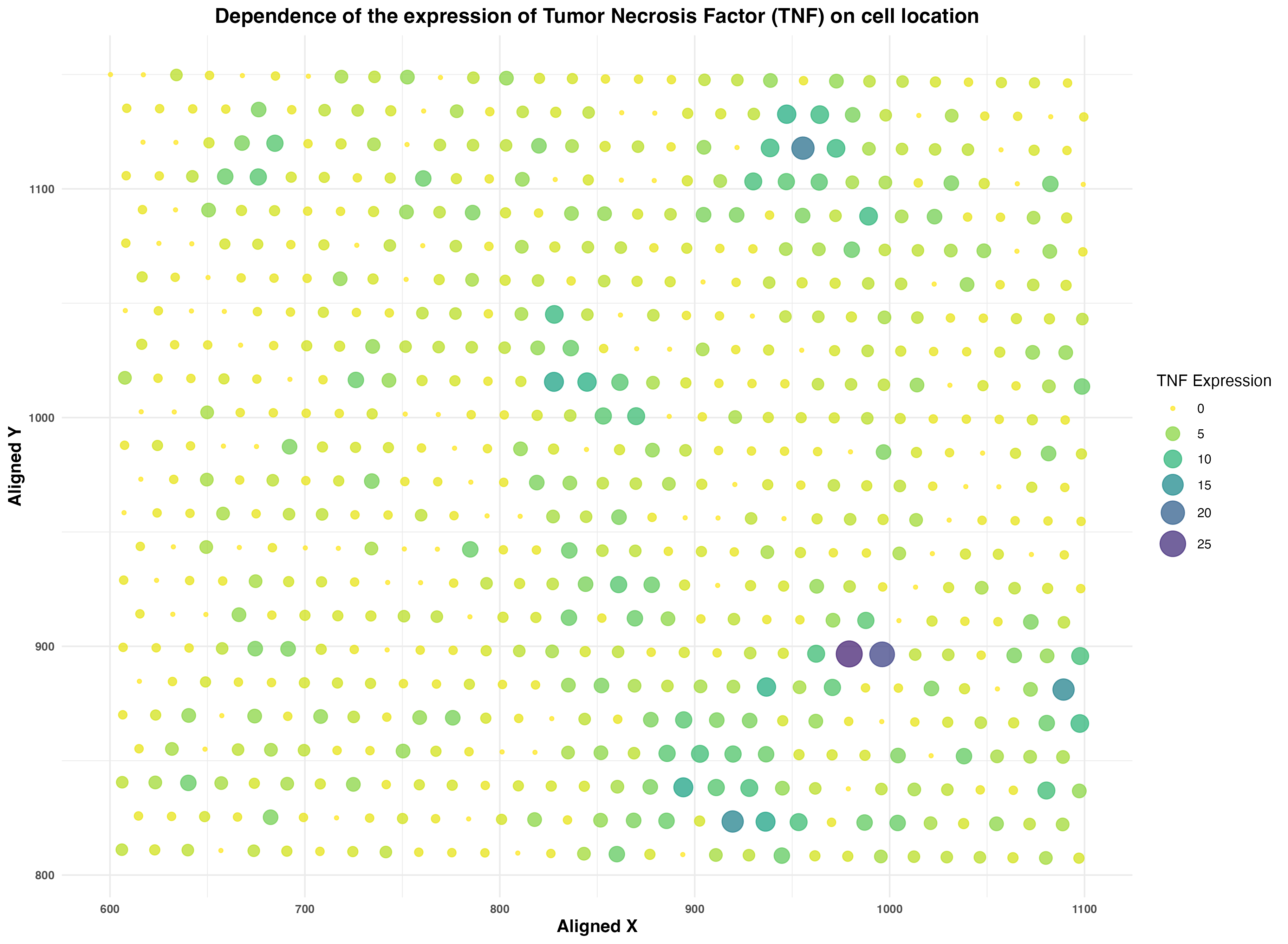 Dependence of the expression of Tumor Necrosis Factor (TNF) on cell location.