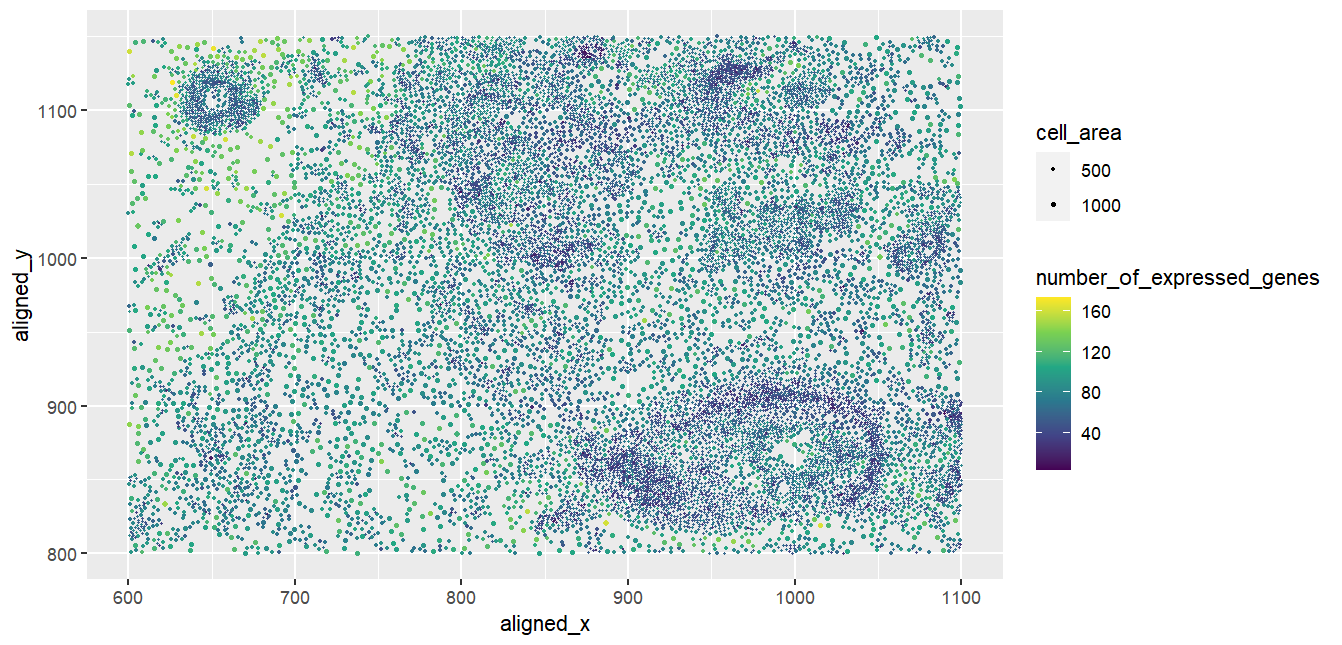 Spatial visualization of number of genes expressed by cells of varying sizes