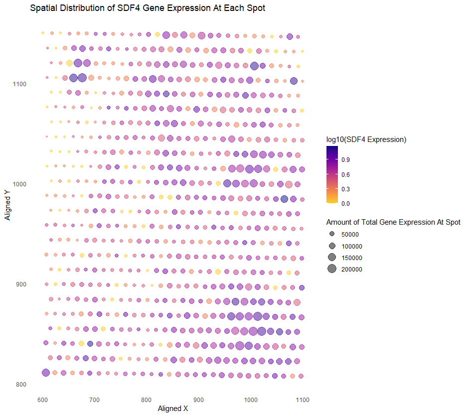 Spatial Distribution of the SDF4 Gene Expression At Each Spot