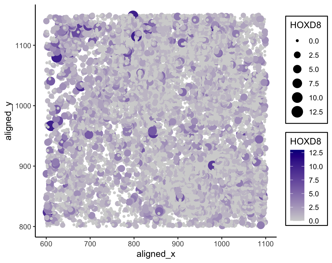 Visualizing the relationship between cell spatial position and HOXD8 expression