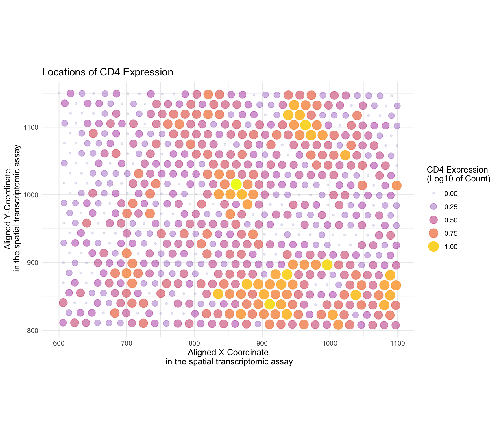 Spatial Locations of CD4 Expression