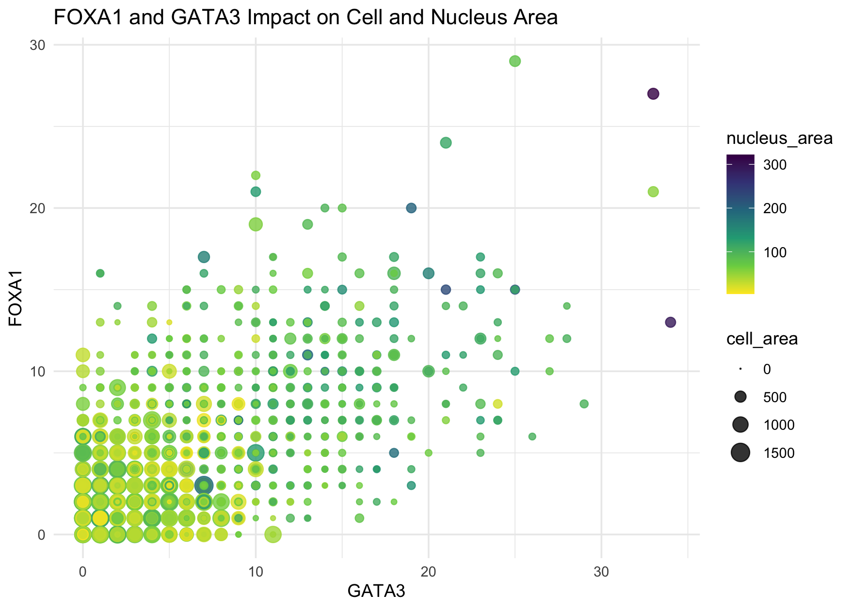 Centroid positions, cell and nucleus areas of each cell