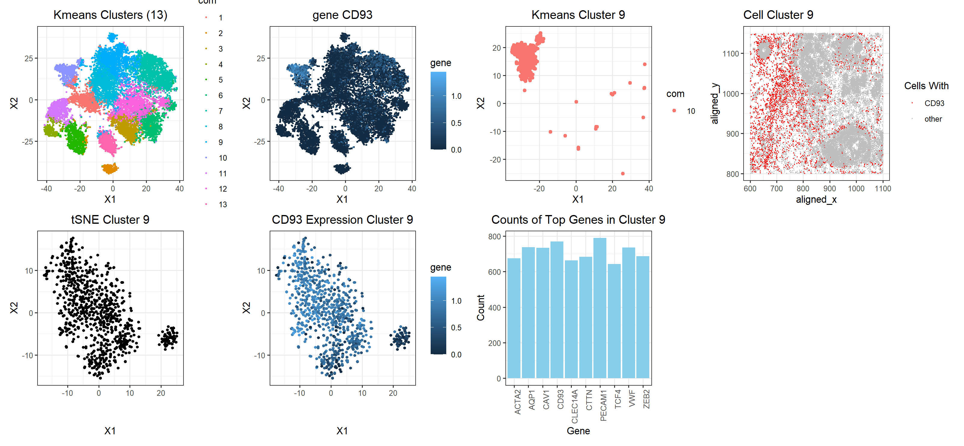 CD93 in Breast Cancer Endothelial Cells