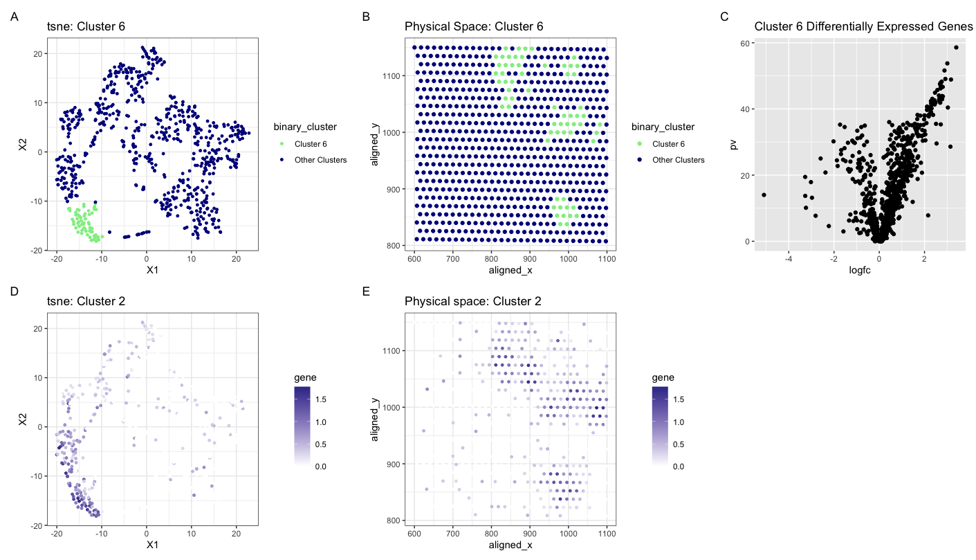 Expression of MMP7 in physical space and reduced dimensional space