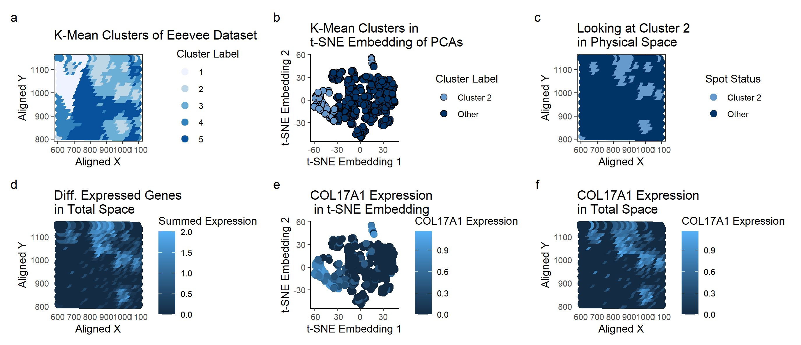 Looking for Breast Cancer Cell Types in Eevee Dataset