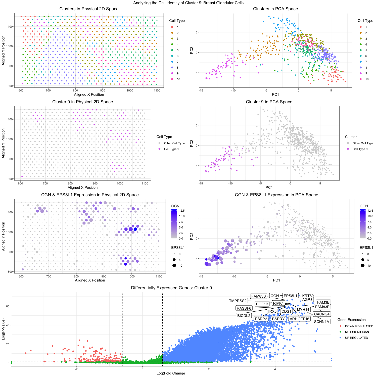 Analyzing for Breast Glandular Cells