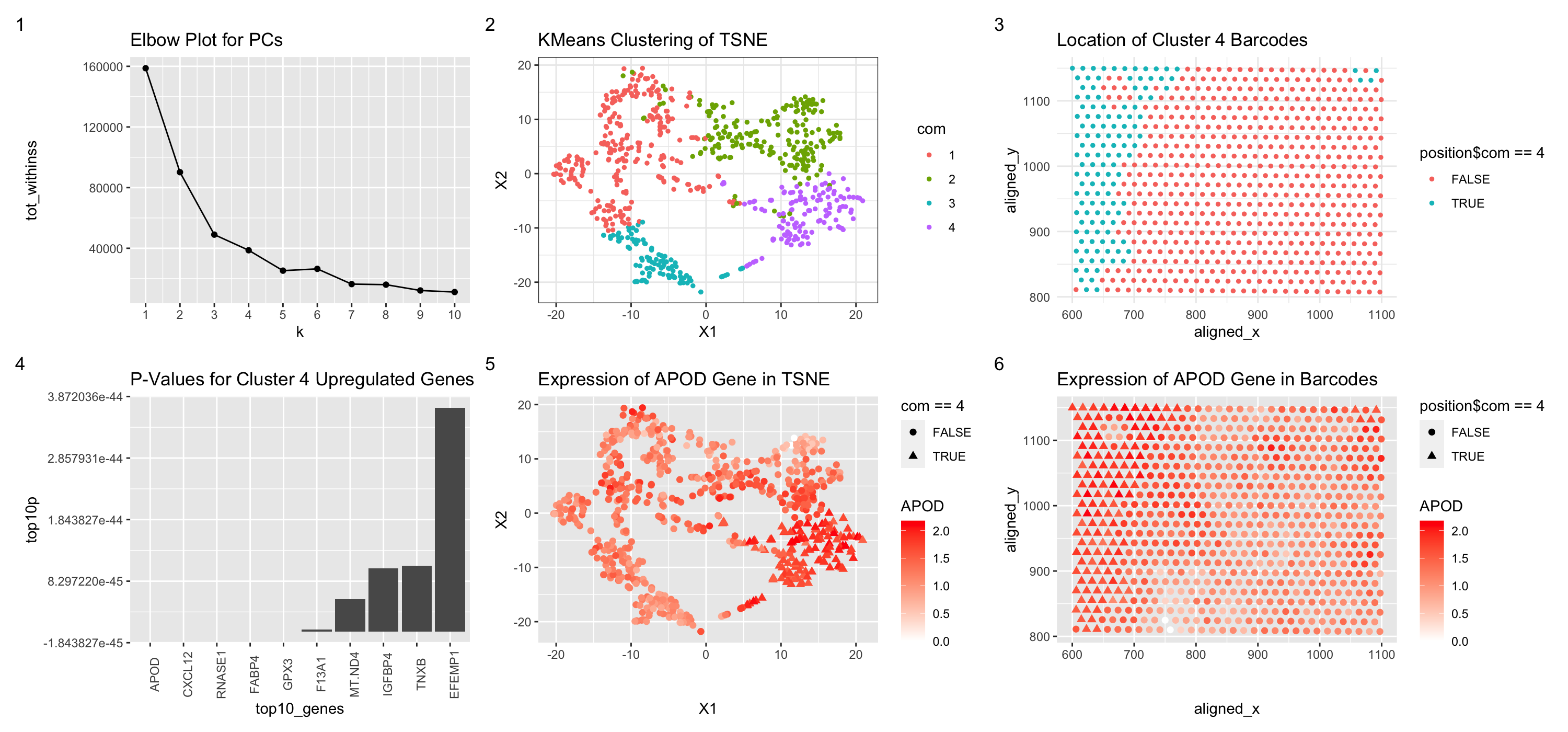 Differential Expression of APOD Gene in Barcode Data