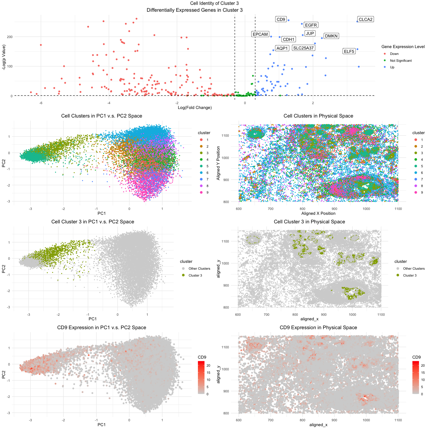 Identification of Epithelial Cells in Breast Cancer Tissue