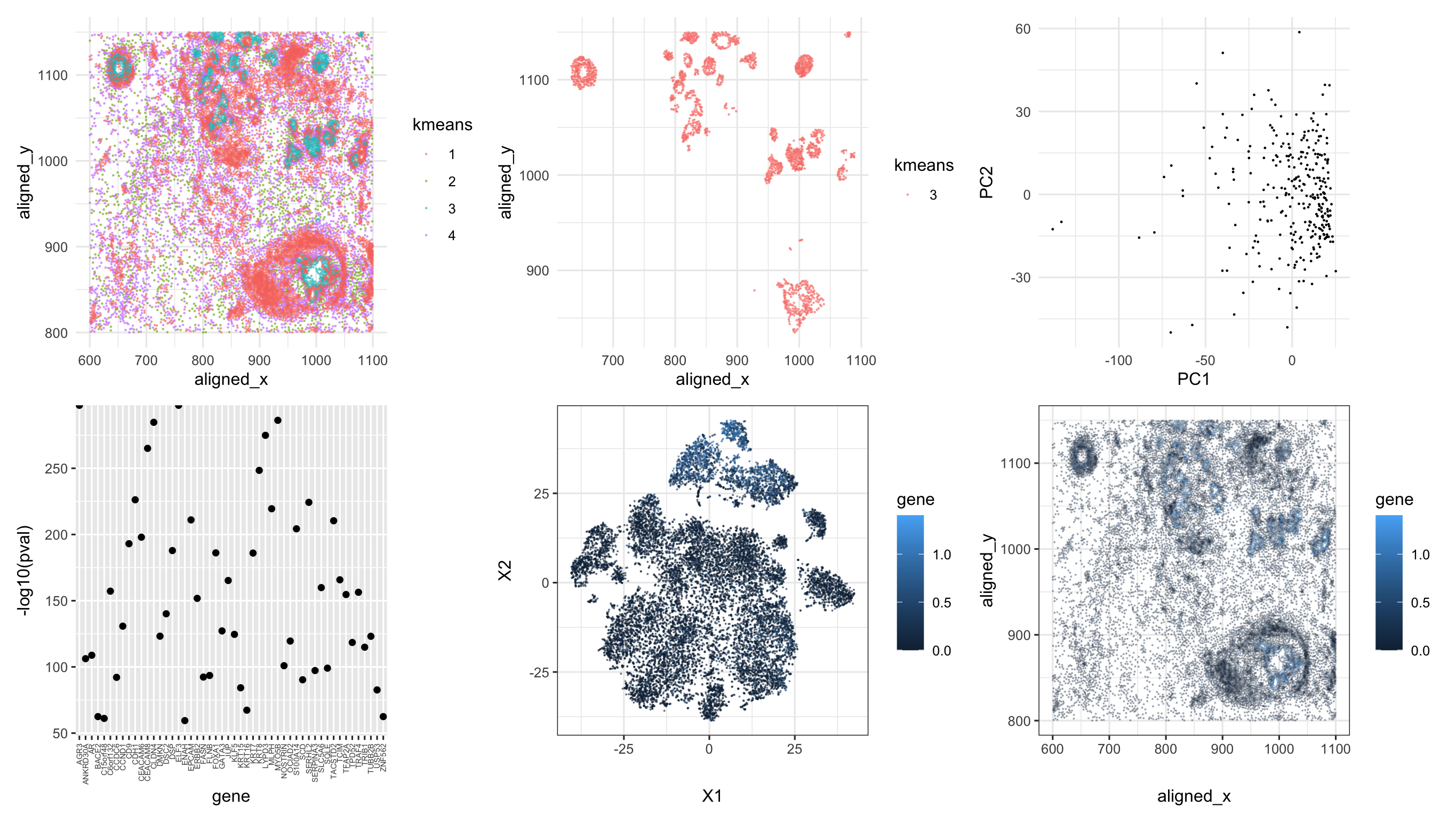 Differentially expressed gene (DSC2) in cell clusters by k-means