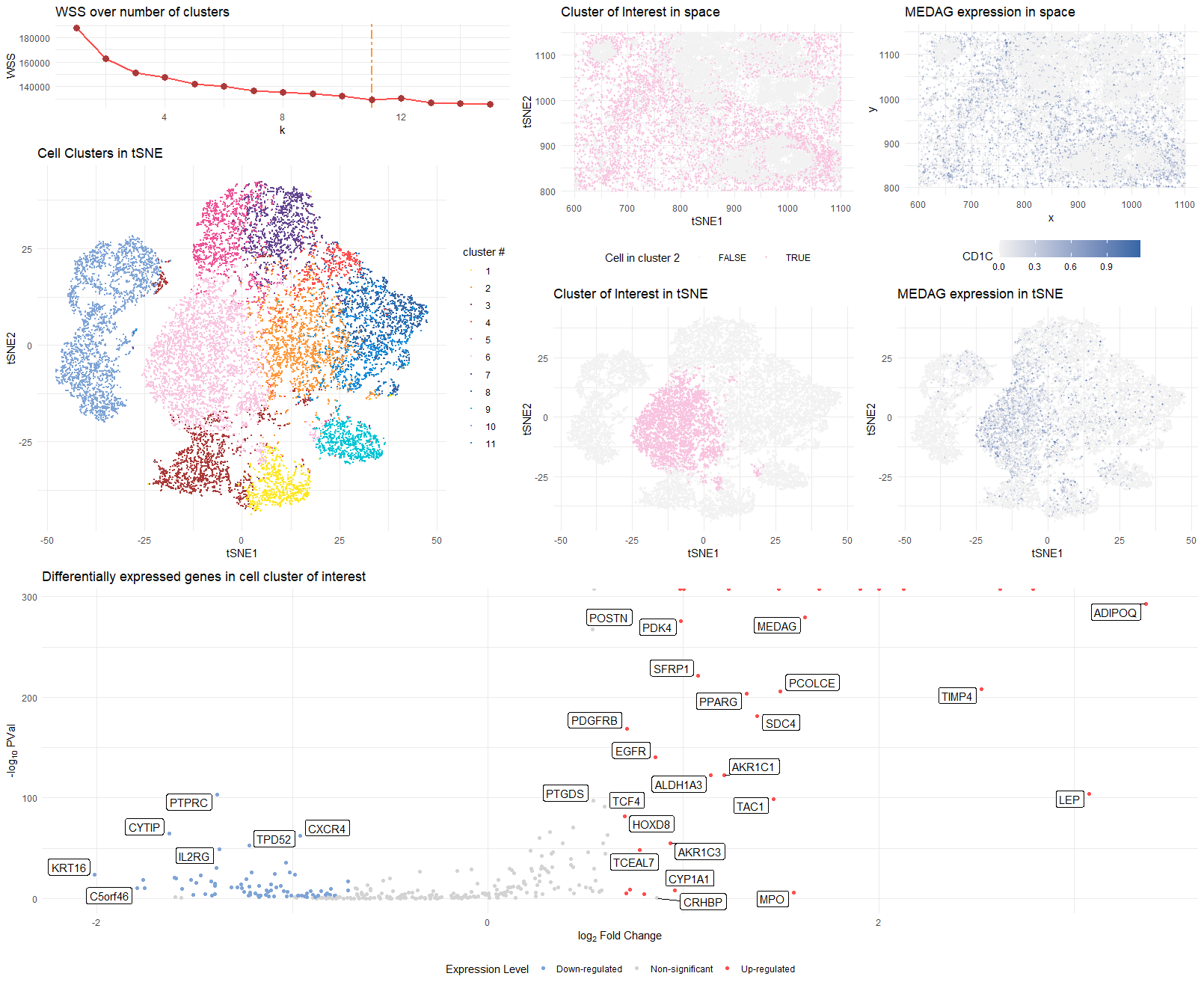 Cell Cluster Identification and Validation in Breast Tumor Tissue (revised) 