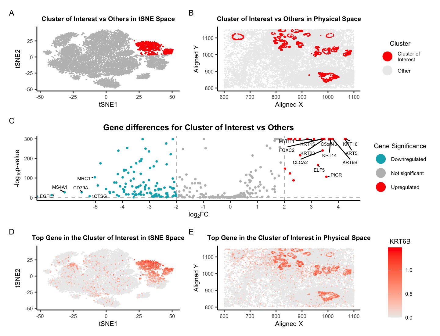 Locating glandular epithelial cells within the Pikachu data