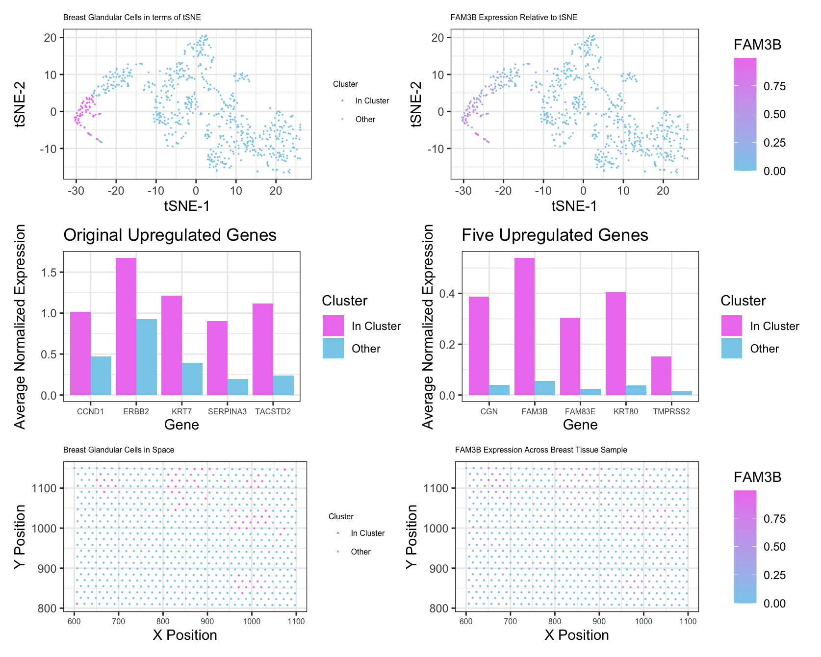 Breast Glandular Cells in EEVEE Data Set