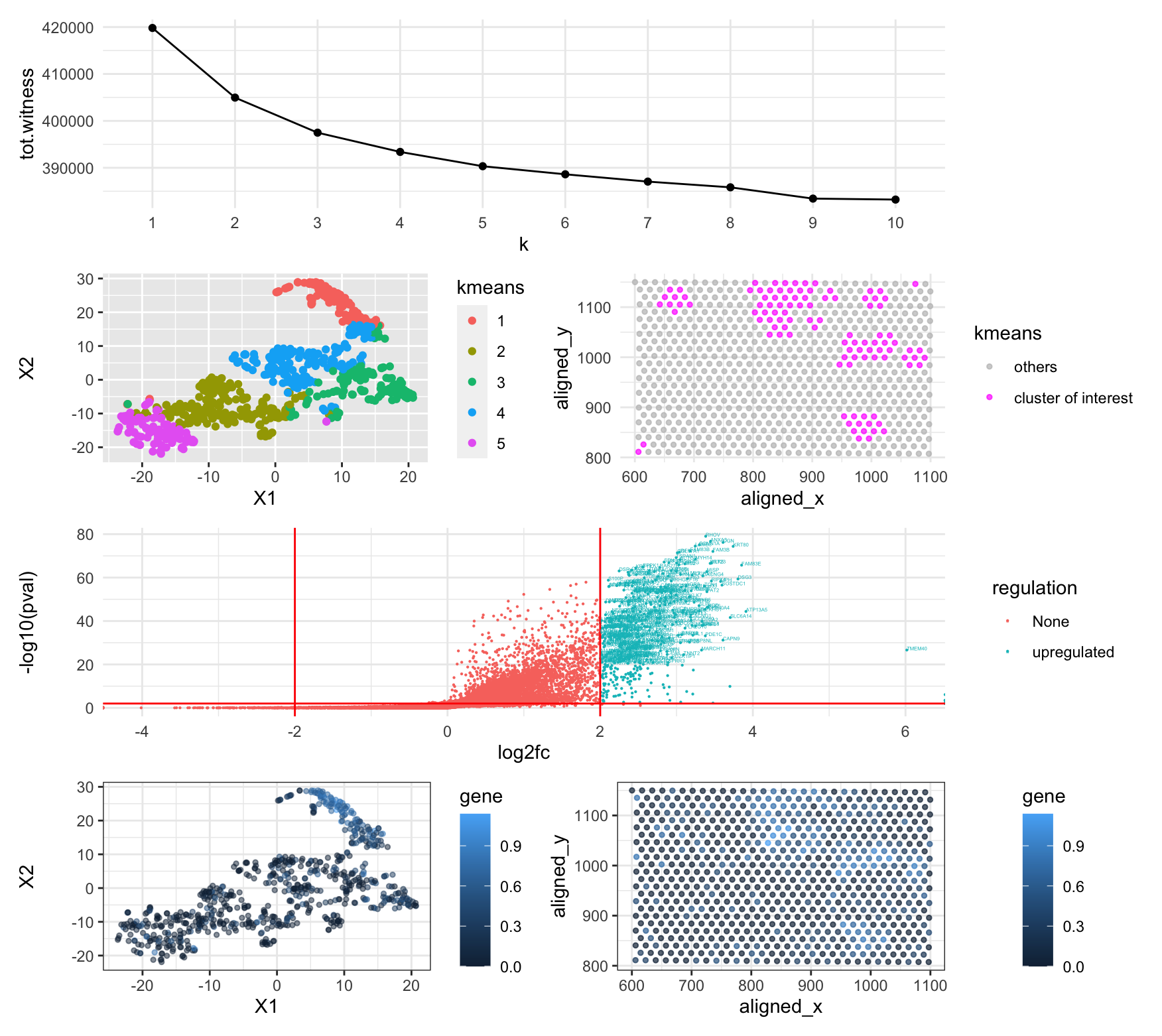 Differentially expressed gene (DSC2) in cell clusters by k-means