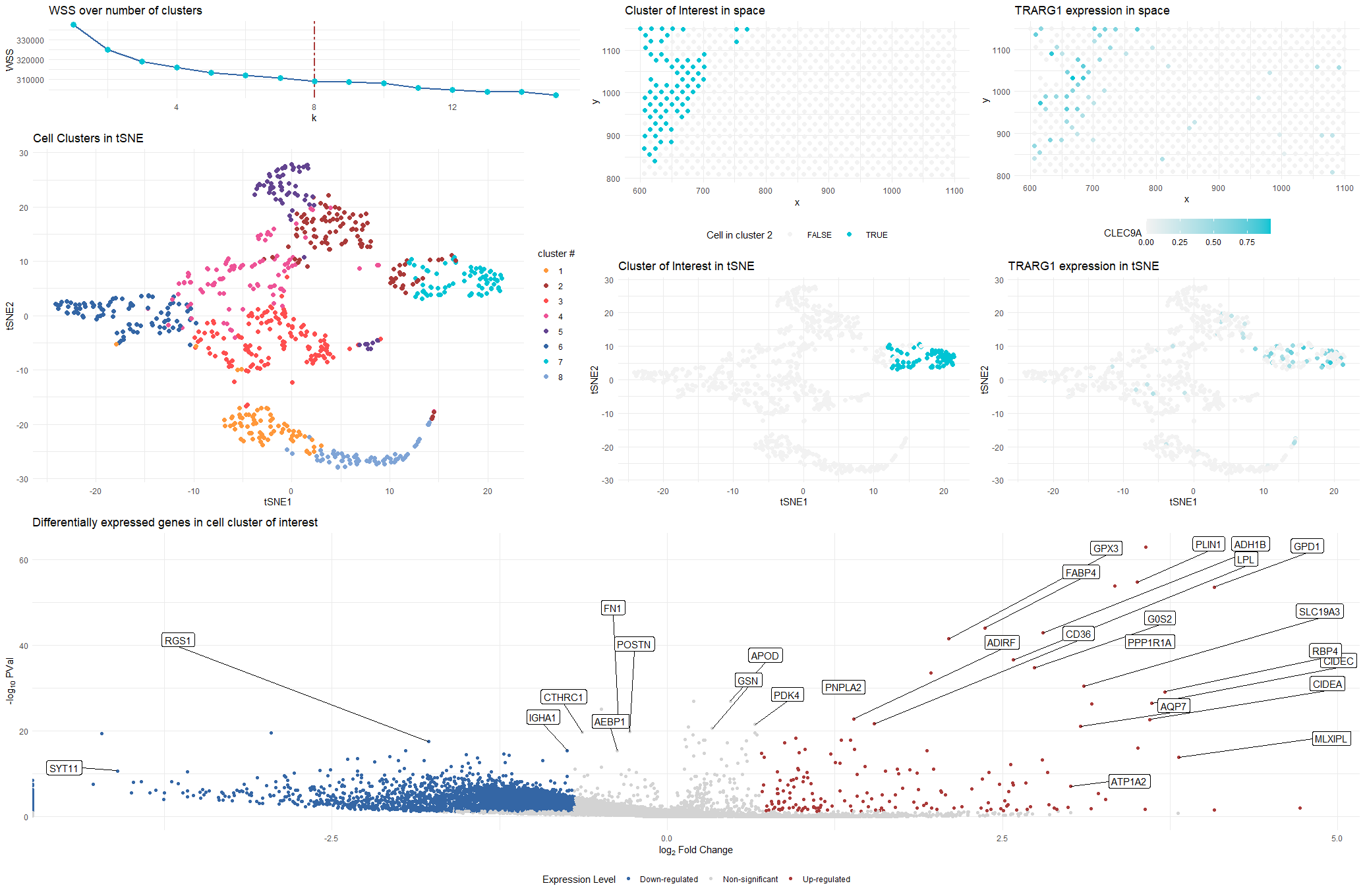 Cell Cluster Identification and Validation in Breast Tumor Tissue