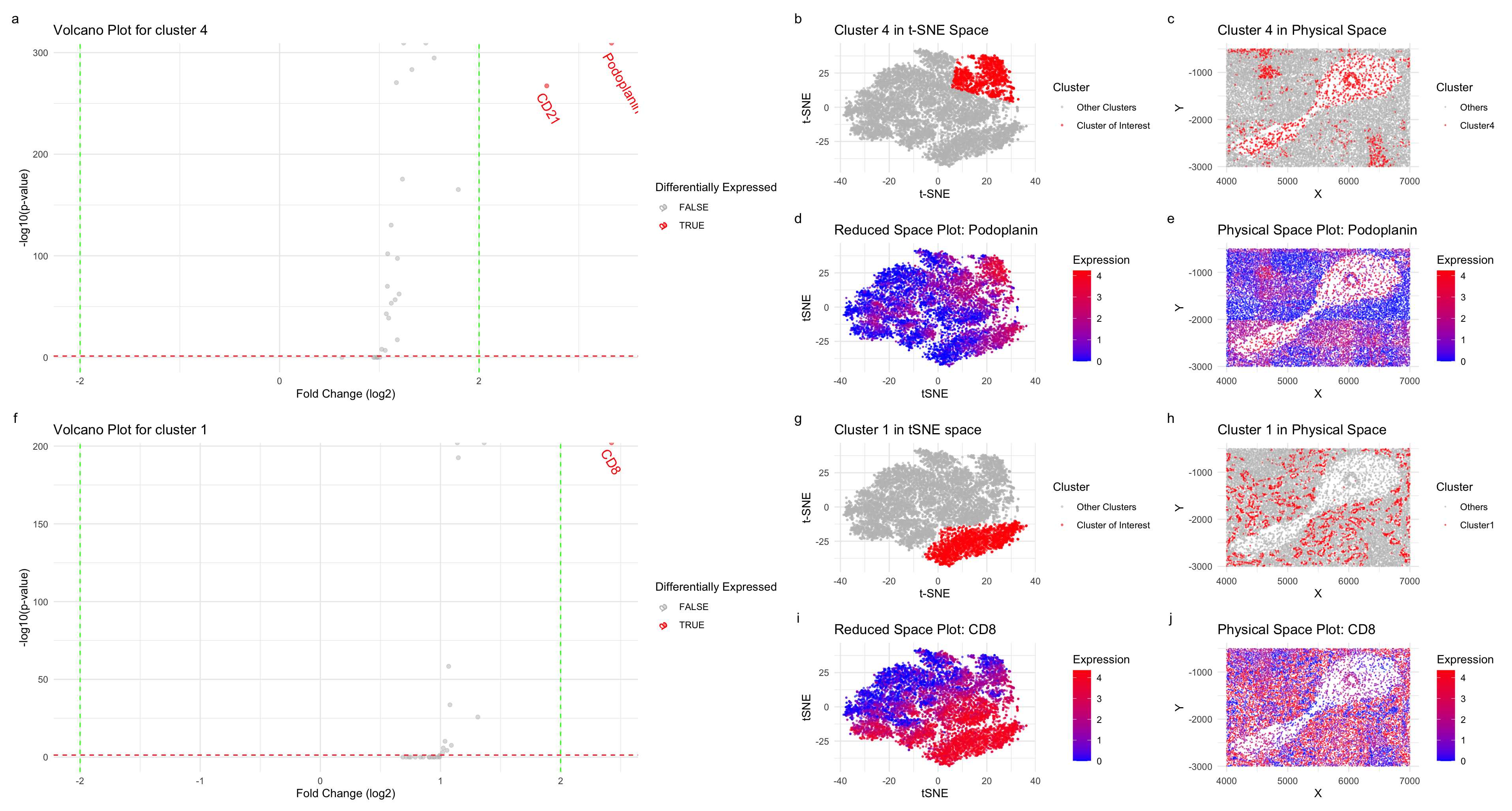 Exploring Cell Types in CODEX Data