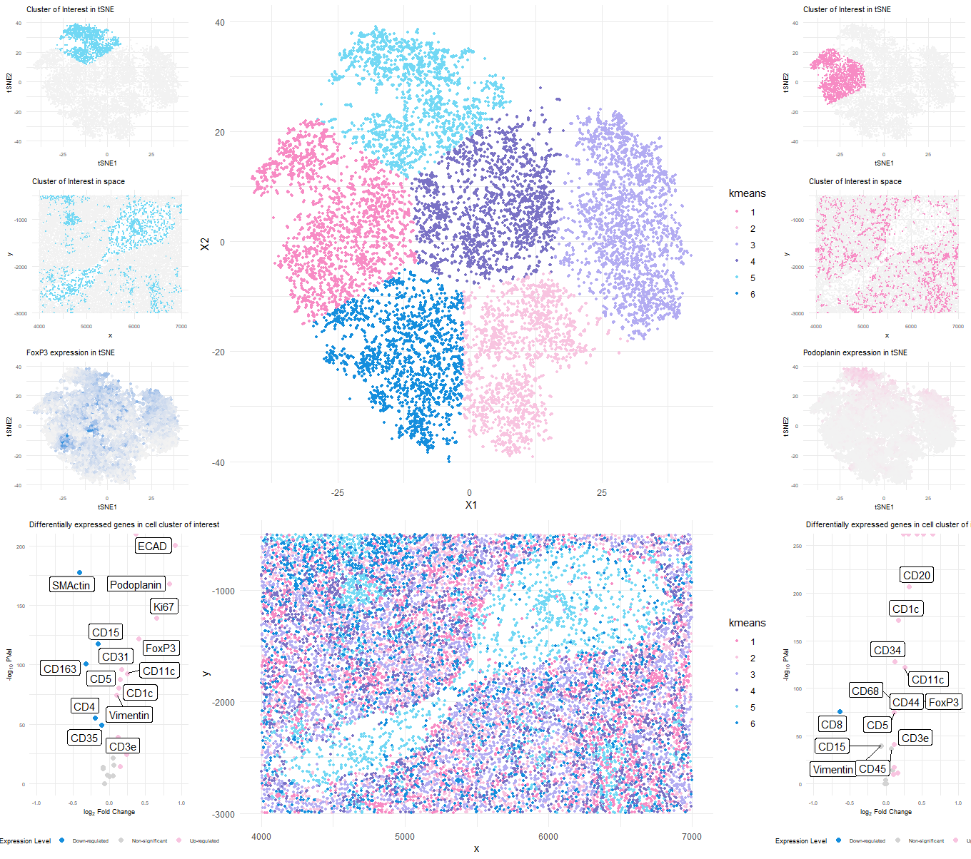 Cell Cluster Identification and Validation in Breast Tumor Tissue