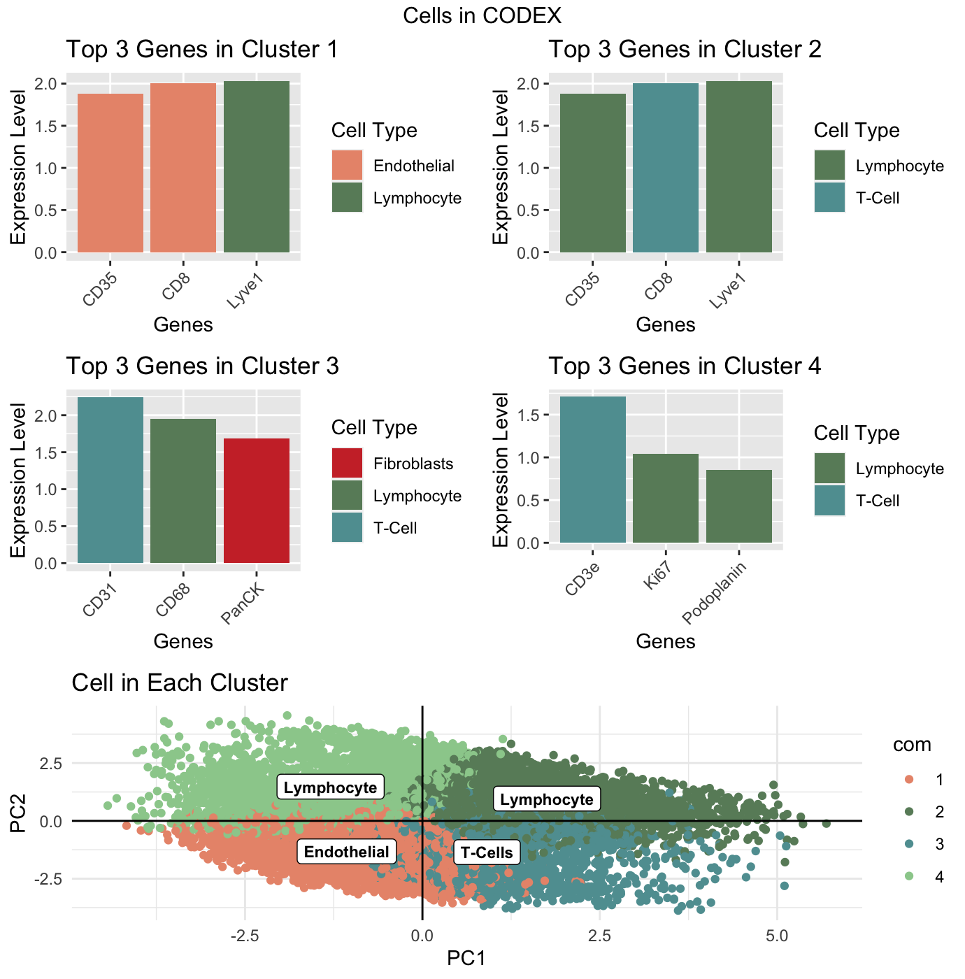 Visualizing Cells in CODEX to Identify Tissue Structure