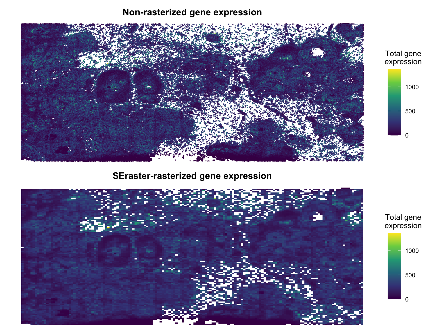 Using SEraster on Xenium Breast Cancer Data