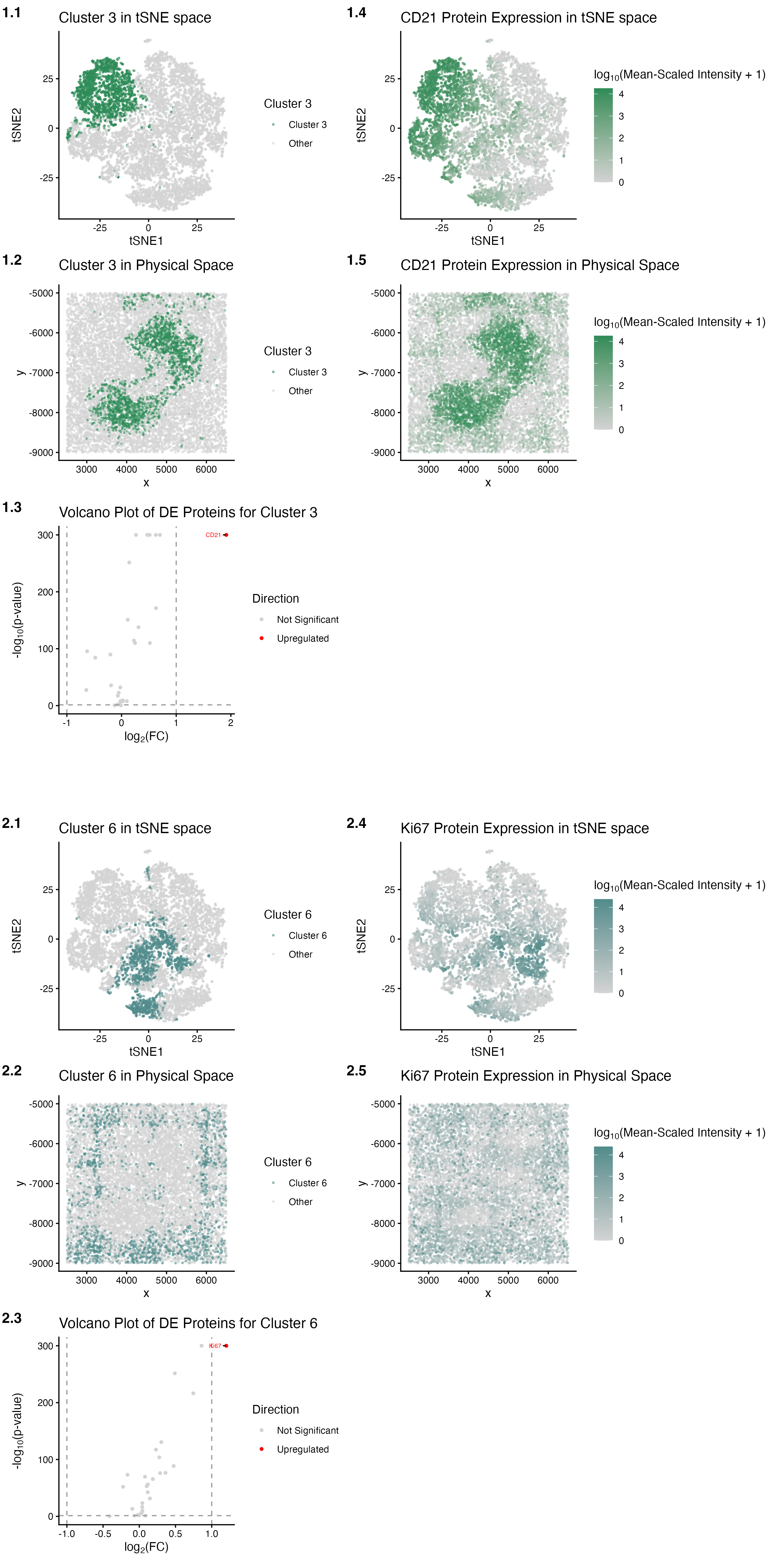 HW5: Multi-Panel Data Visualization of the White Pulp Tissue Structure in the CODEX Data