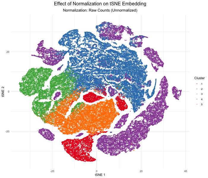 Impact of Normalization on tSNE in Kidney Spatial Transcriptomics Data