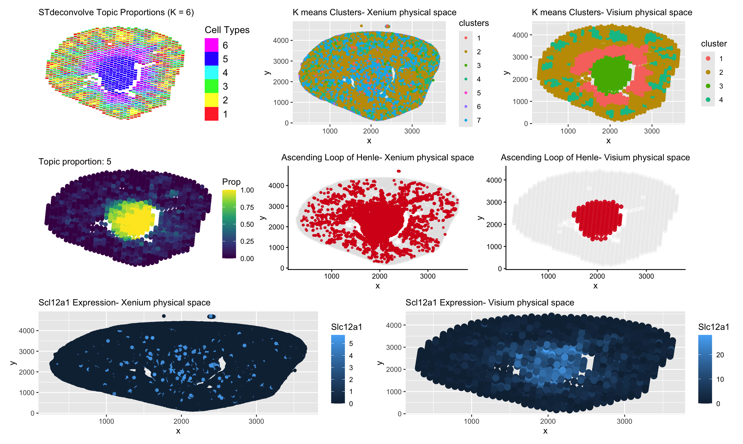 Deconvolution on Visium Dataset