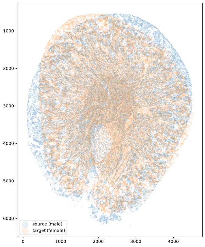 ../_images/notebooks_cartana-kidney-alignment-minimal_7_1.png