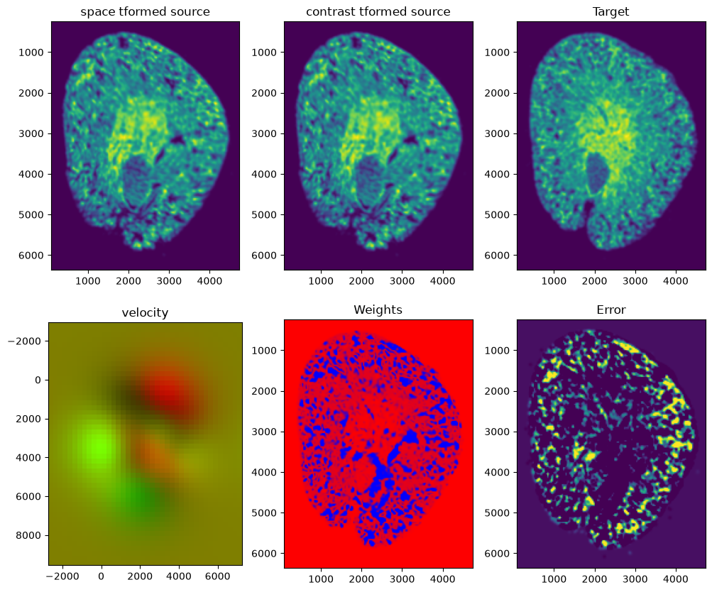 ../_images/notebooks_cartana-kidney-alignment-minimal_9_2.png