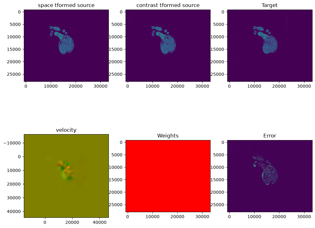 ../_images/notebooks_heart-alignment_33_2.png