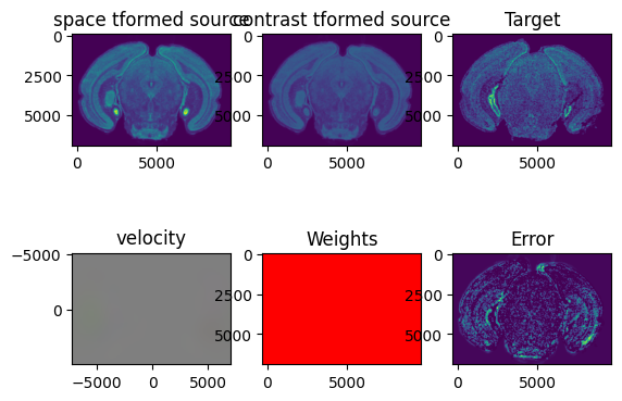 ../_images/notebooks_merfish-allen3Datlas-alignment_32_3.png