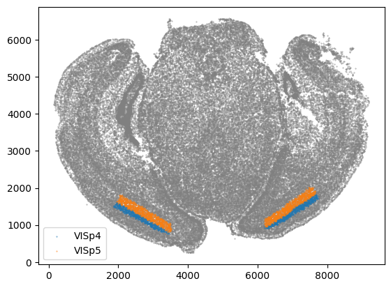 ../_images/notebooks_merfish-allen3Datlas-alignment_45_0.png