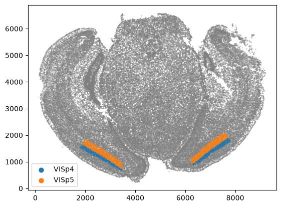 ../_images/notebooks_merfish-allen3Datlas-alignment_45_1.png