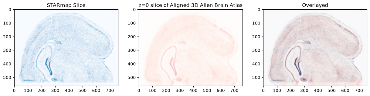 ../_images/notebooks_starmap-allen3Datlas-alignment_40_0.png