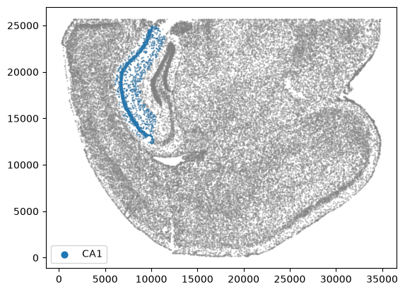 ../_images/notebooks_starmap-allen3Datlas-alignment_45_1.png