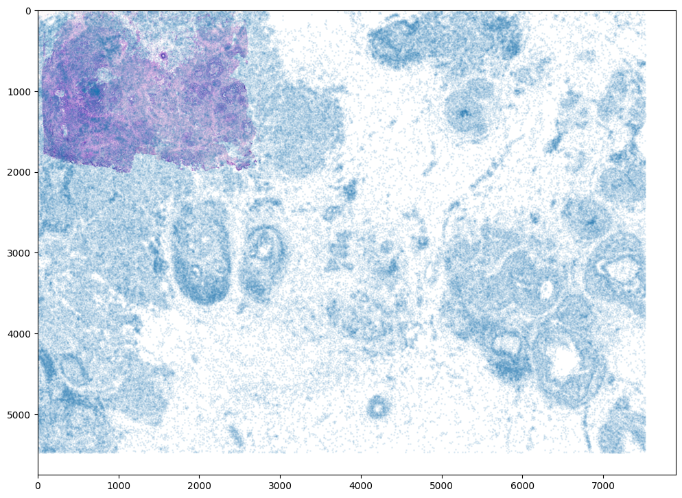 ../_images/notebooks_xenium-heimage-alignment_18_1.png