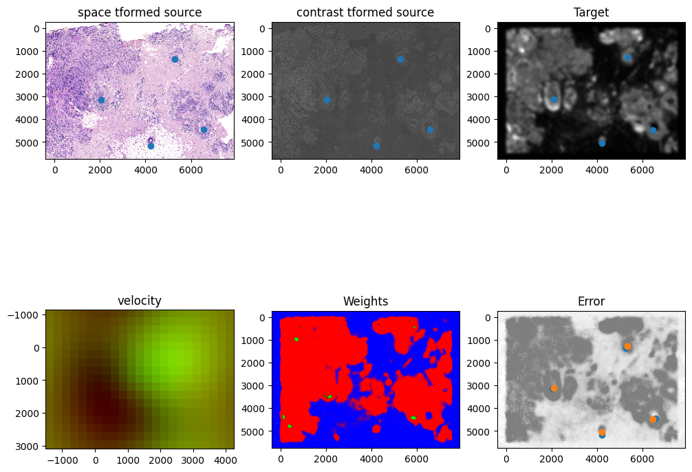 ../_images/notebooks_xenium-heimage-alignment_30_3.png