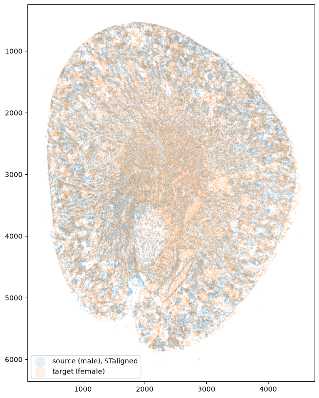 Aligned cell positions of the male (blue) and female (orange) kidneys