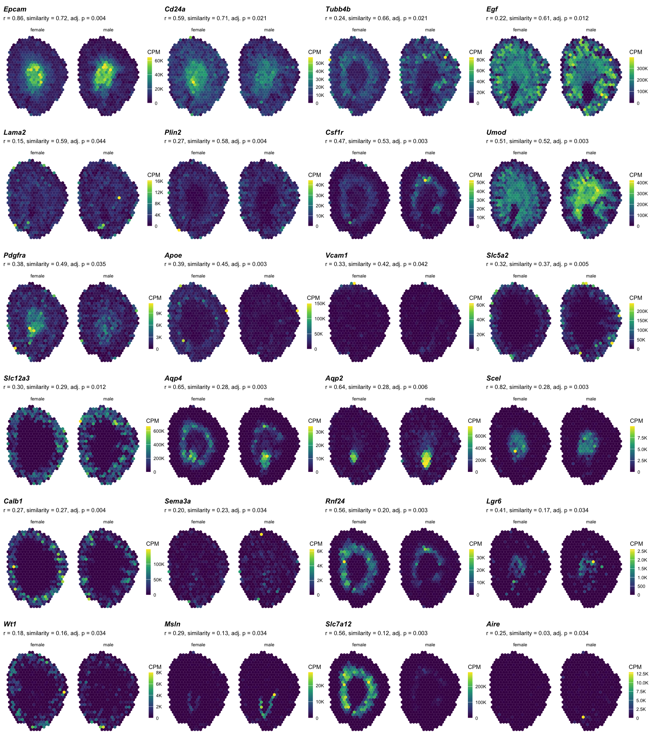 Female and male spatial maps of the 24 significant genes, ordered by similarity