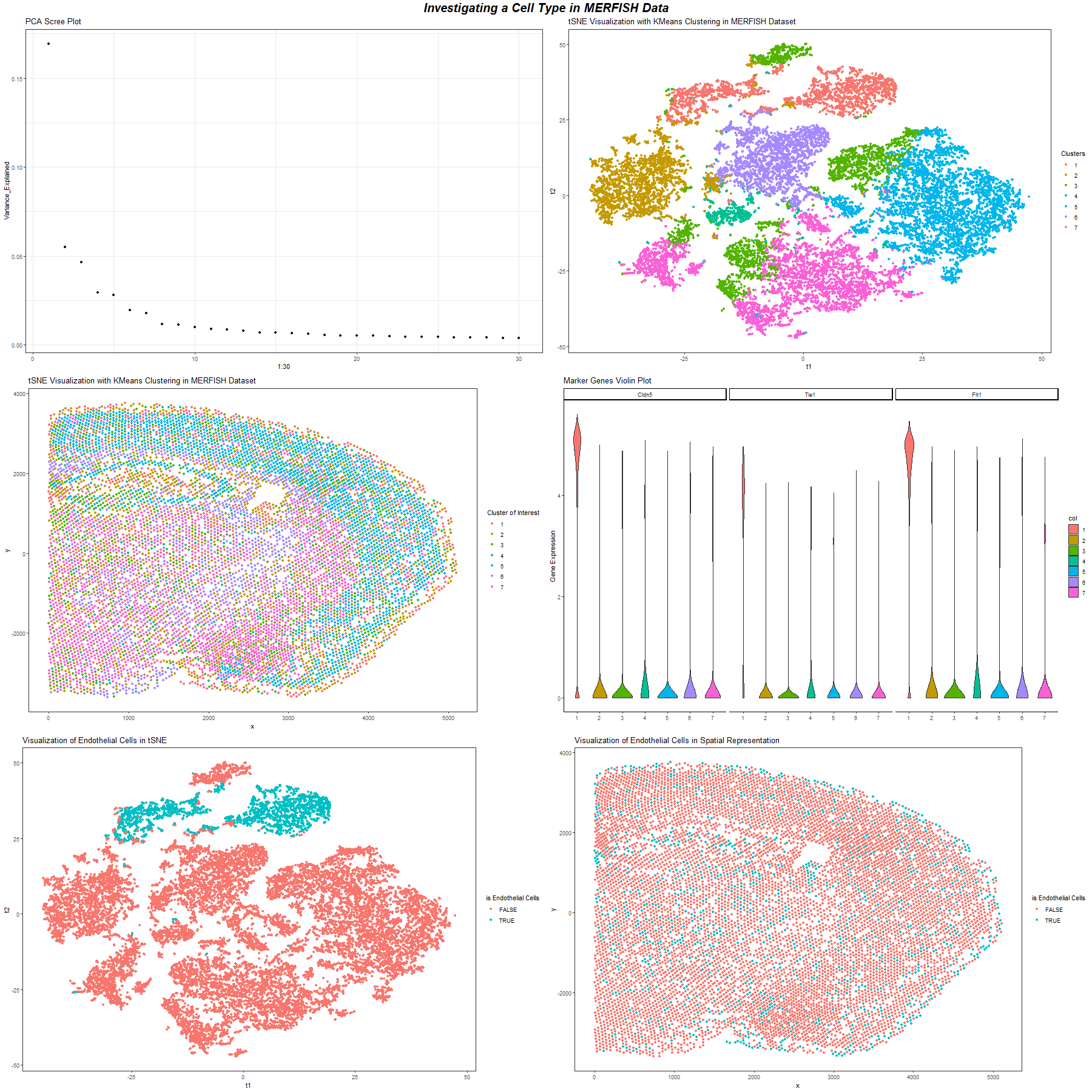 Investigating a Cell Type in MERFISH Dataset