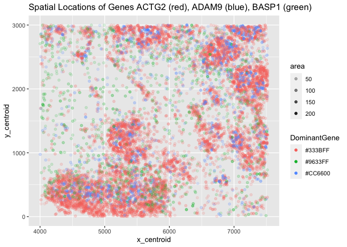 Spatial Relationship between ACTG2, ADAM9, and BASP1