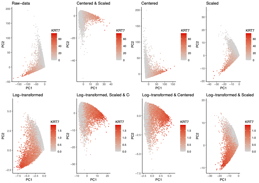 Homework 3 Submission: Comparing Pre-processing Methods Prior to PCA