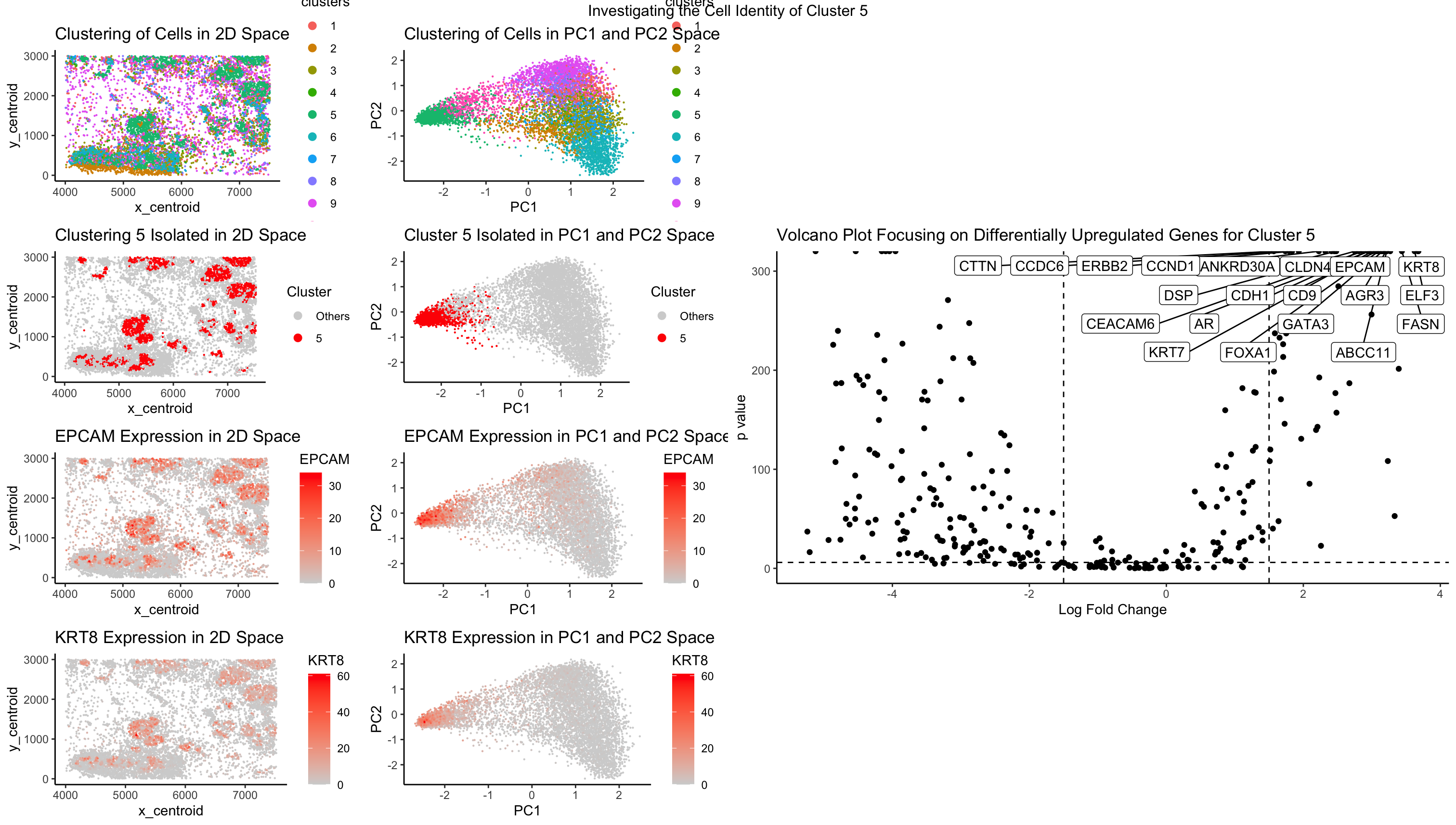 Identifying an Epithelial Cell Population within the Breast Tissue Dataset