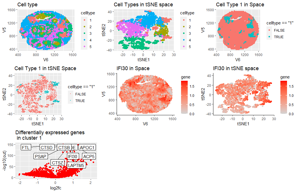 Cell type identification based on clustering and gene expression on the Visium breast cancer dataset