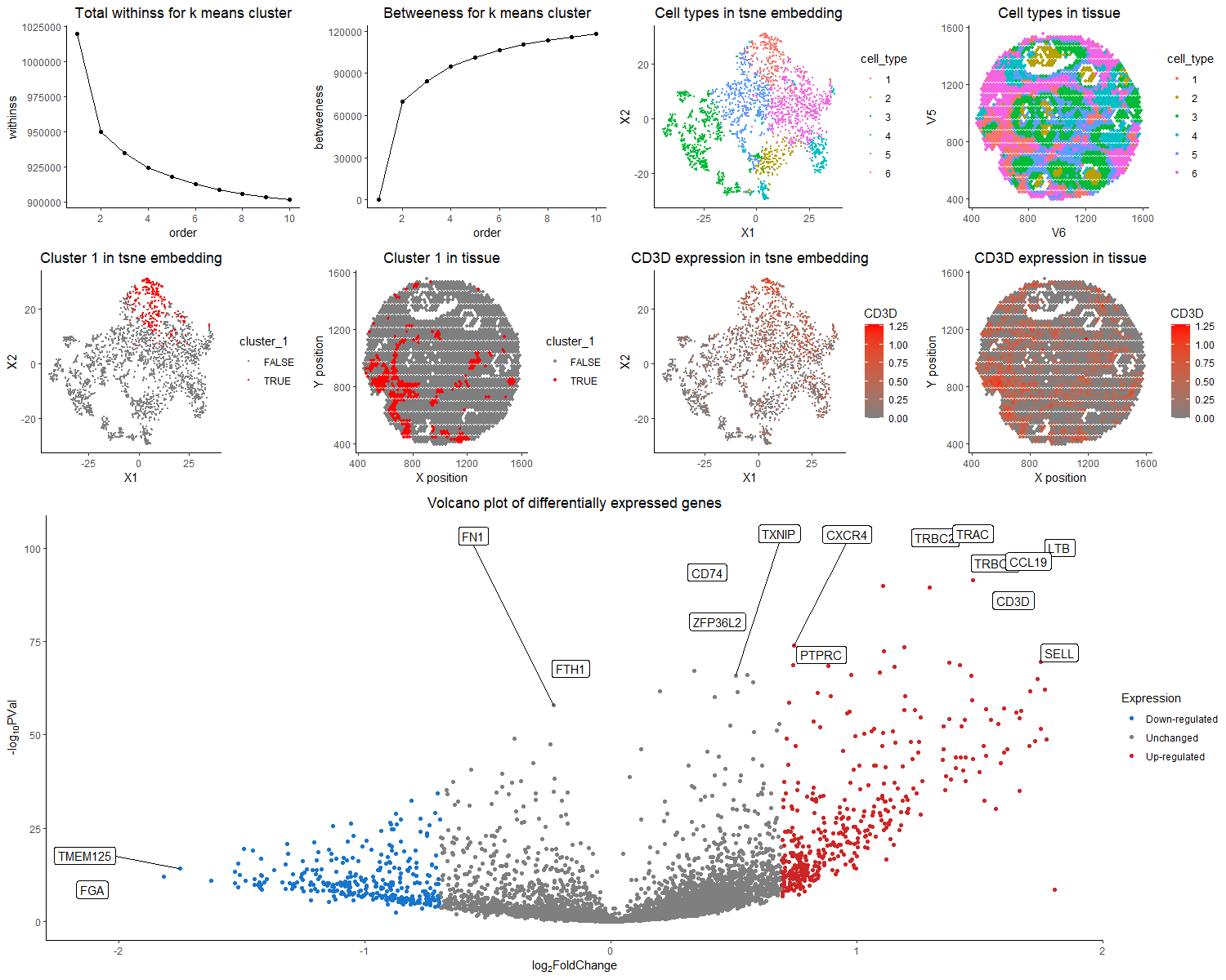 Validation of cell type clustering via differential gene expression