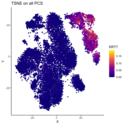 Comparing the effect of tSNE on varying number of PCs:KRT7 expression (using gganimate)