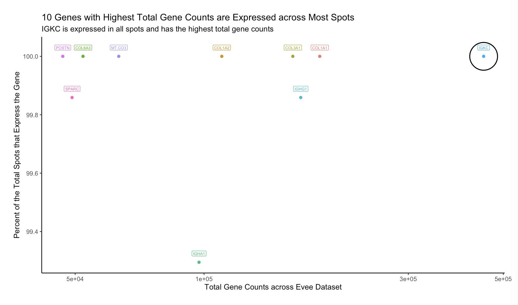 10 Genes with the Highest Counts are Expressed Across Most Spots