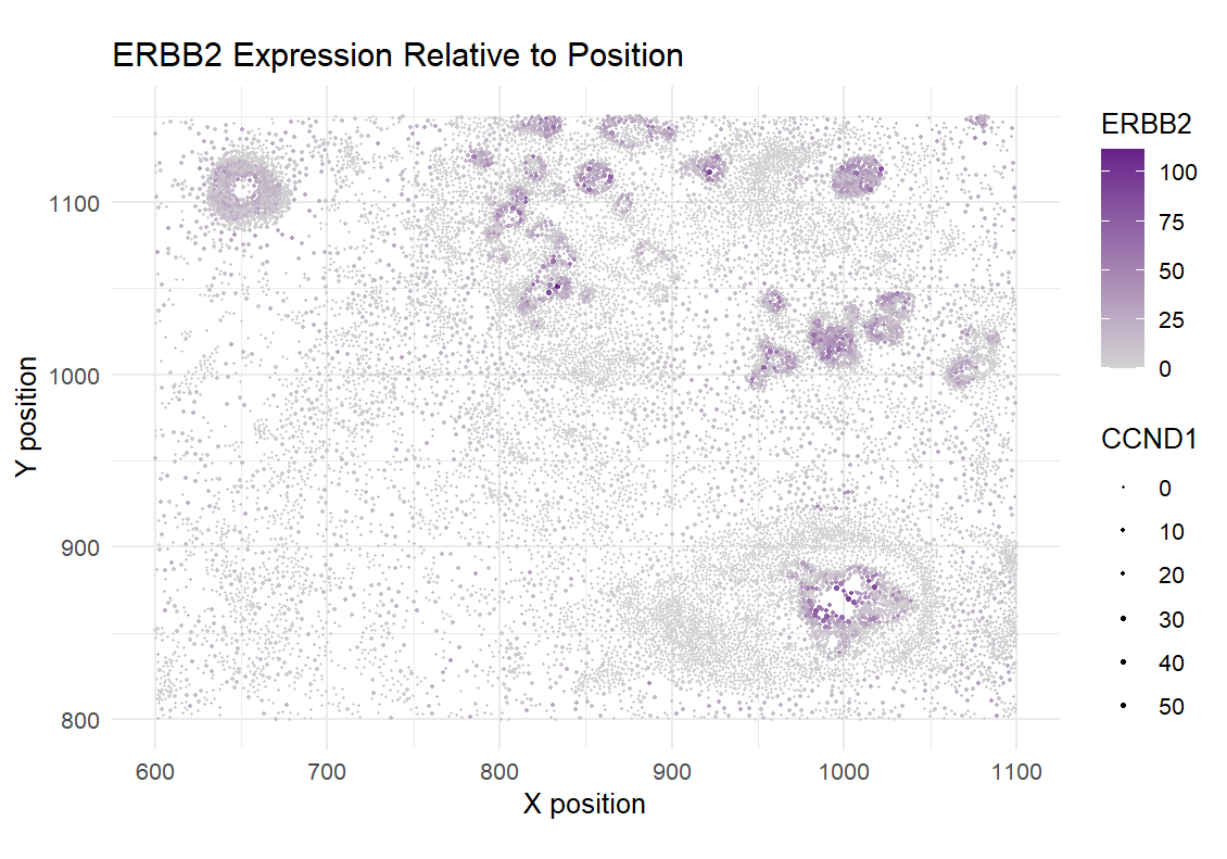 Visualizing tumor cells by highlighting the expression of and relationship between the ERRB2 and CCND1 genes