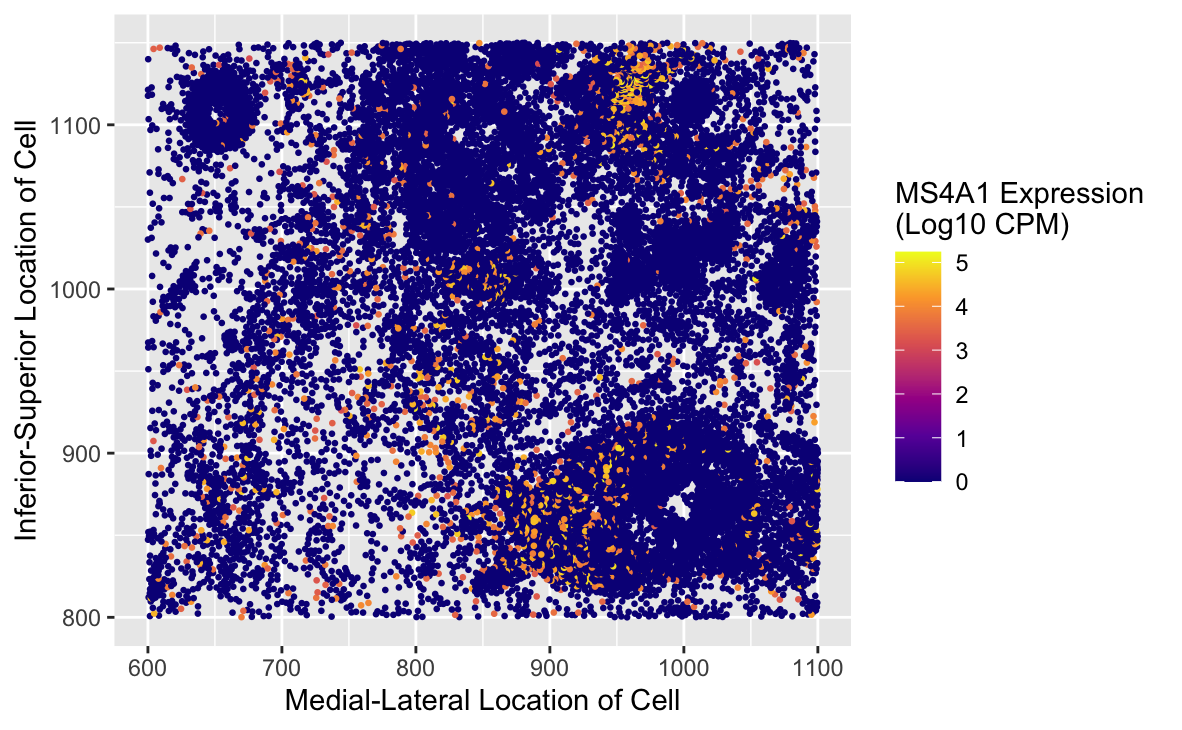 Spatial Visualization of POSTN Expression in Tissue